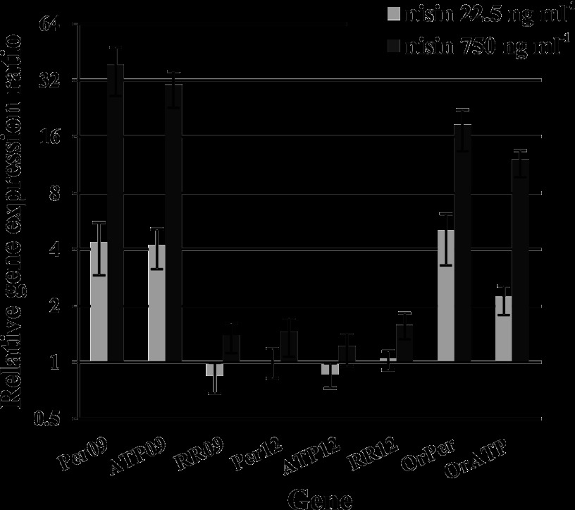 Fig 2