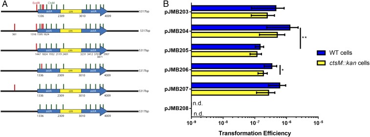 Fig. 7.