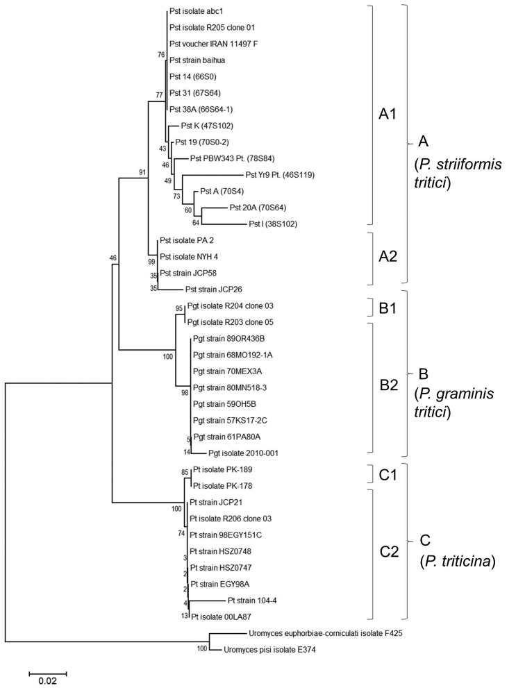 Figure 1