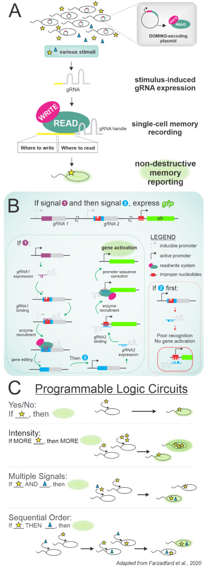 Figure 6