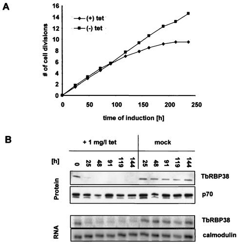 FIG. 5.