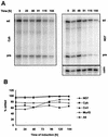 FIG. 8.