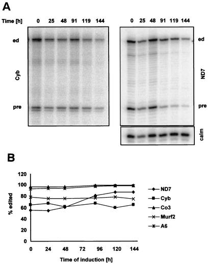 FIG. 8.