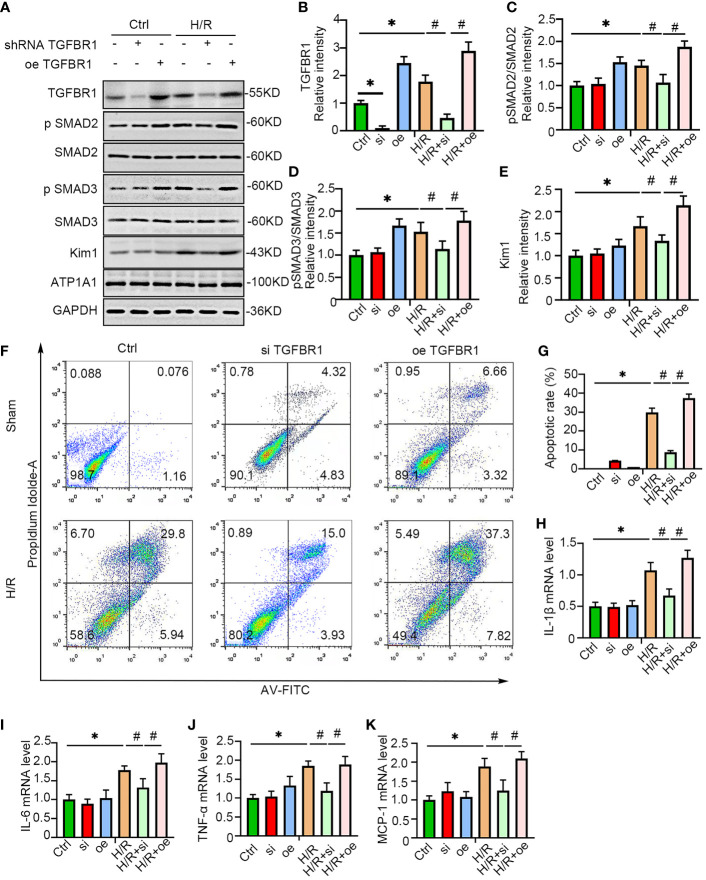 Figure 6