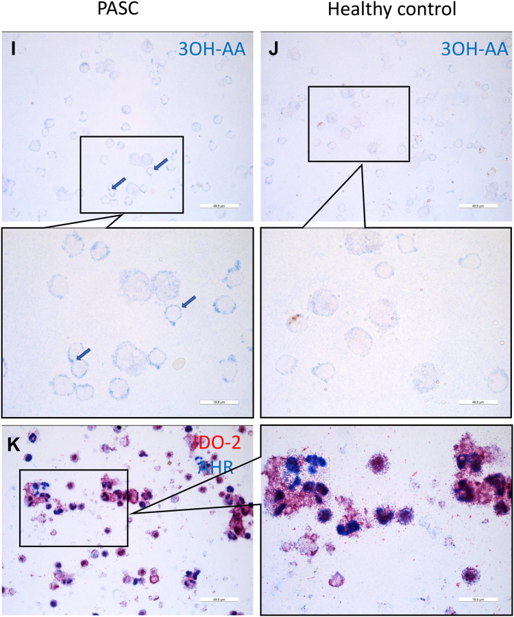 Fig. 2