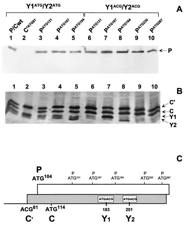 FIG. 7