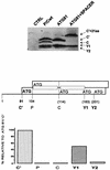 FIG. 5