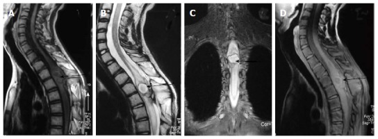 Figure 19