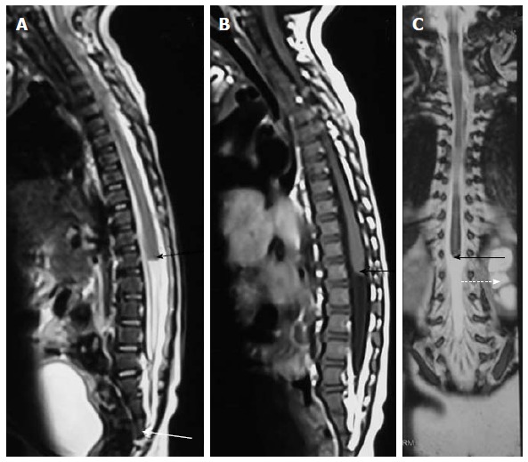 Figure 22