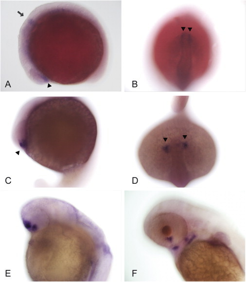 Figure 3