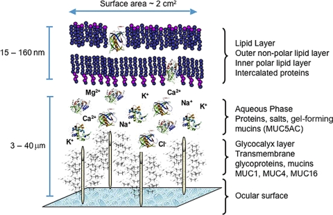 Figure 3.