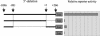 FIG. 10.