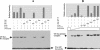 FIG. 8.