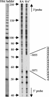 FIG. 6.