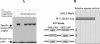 FIG. 9.