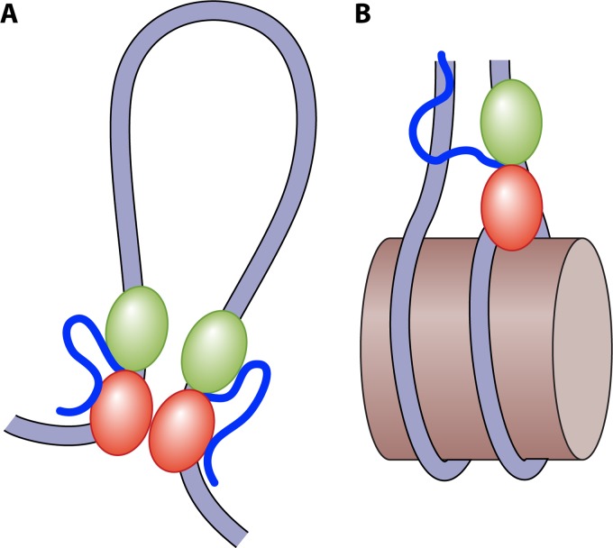 FIG 6