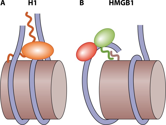 FIG 4