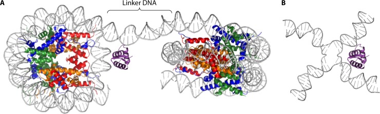 FIG 2