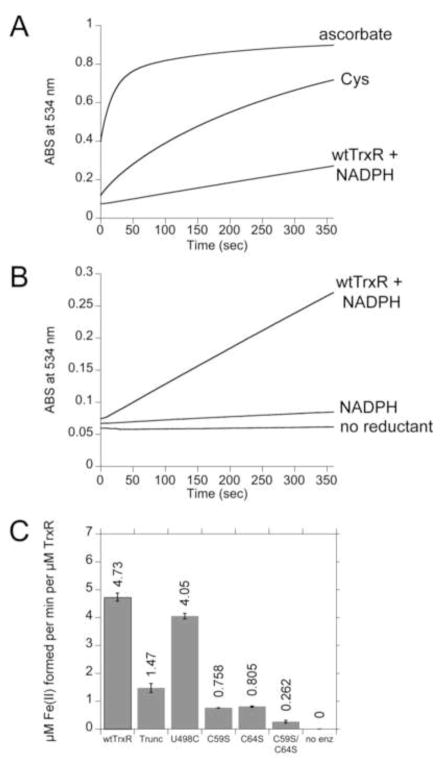 Fig. 7