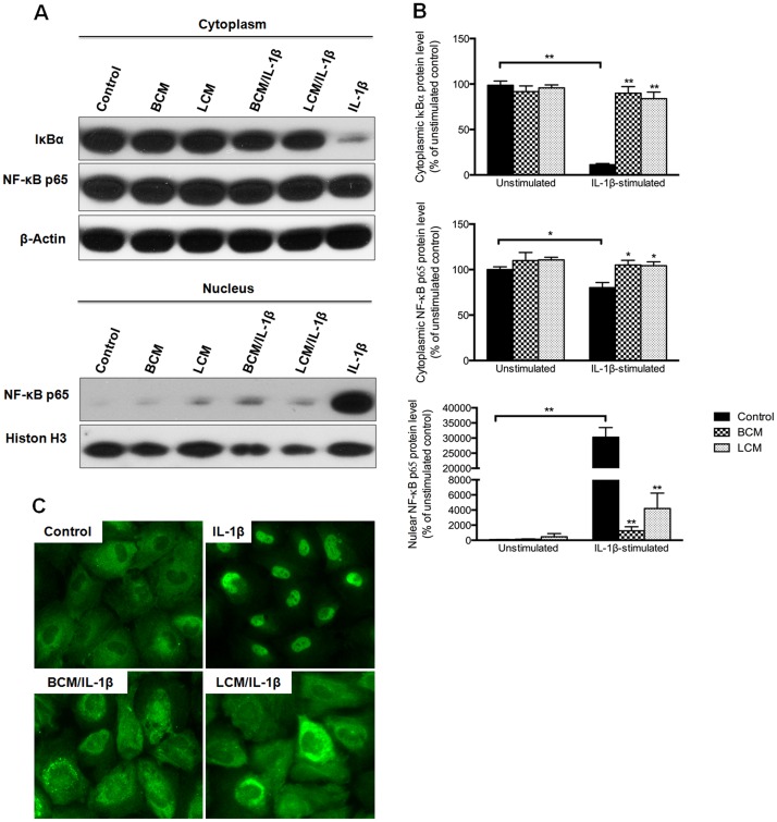 Fig 7