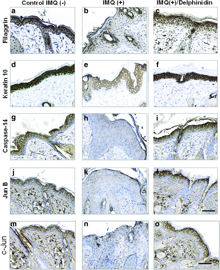 FIG. 7.