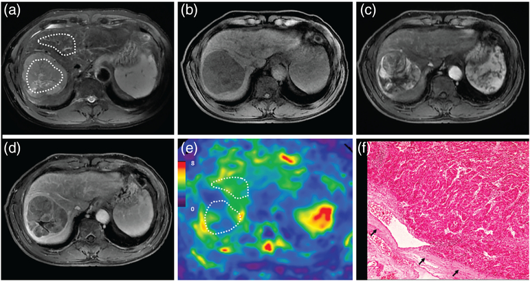 FIGURE 5: