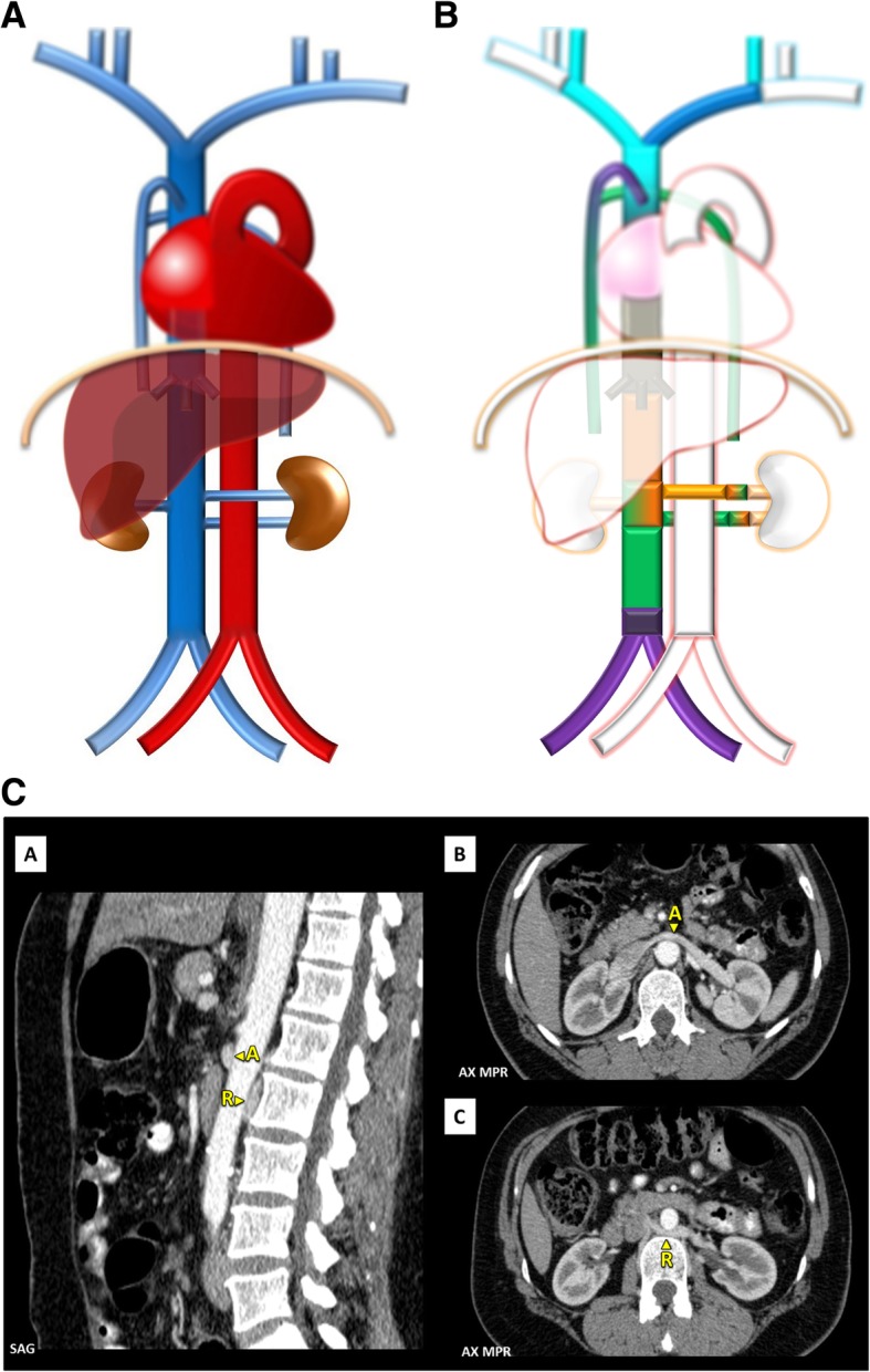 Fig. 10