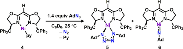 Scheme 4