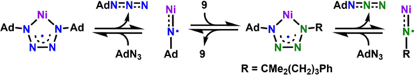 Scheme 6