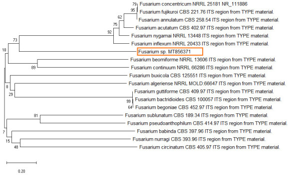 Figure 3. 