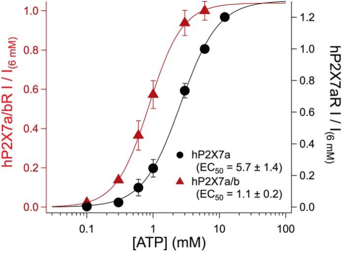 FIGURE 4.