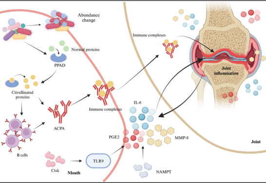 FIGURE 3