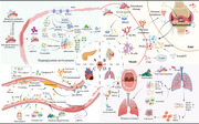 graphic file with name MCO2-6-e70052-g005.jpg
