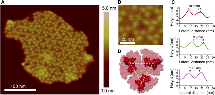 Figure 1.