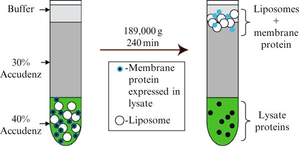 Figure 37.4