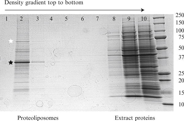 Figure 37.5