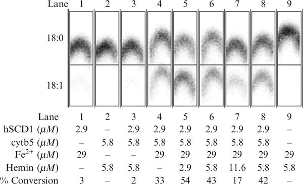 Figure 37.6