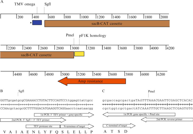 Figure 37.2