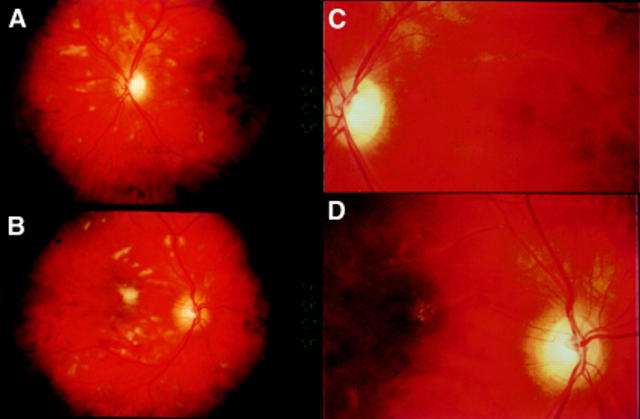 Figure 1  