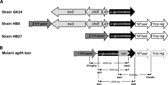 FIG. 2.