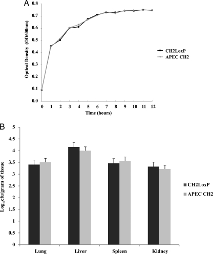 Fig 2