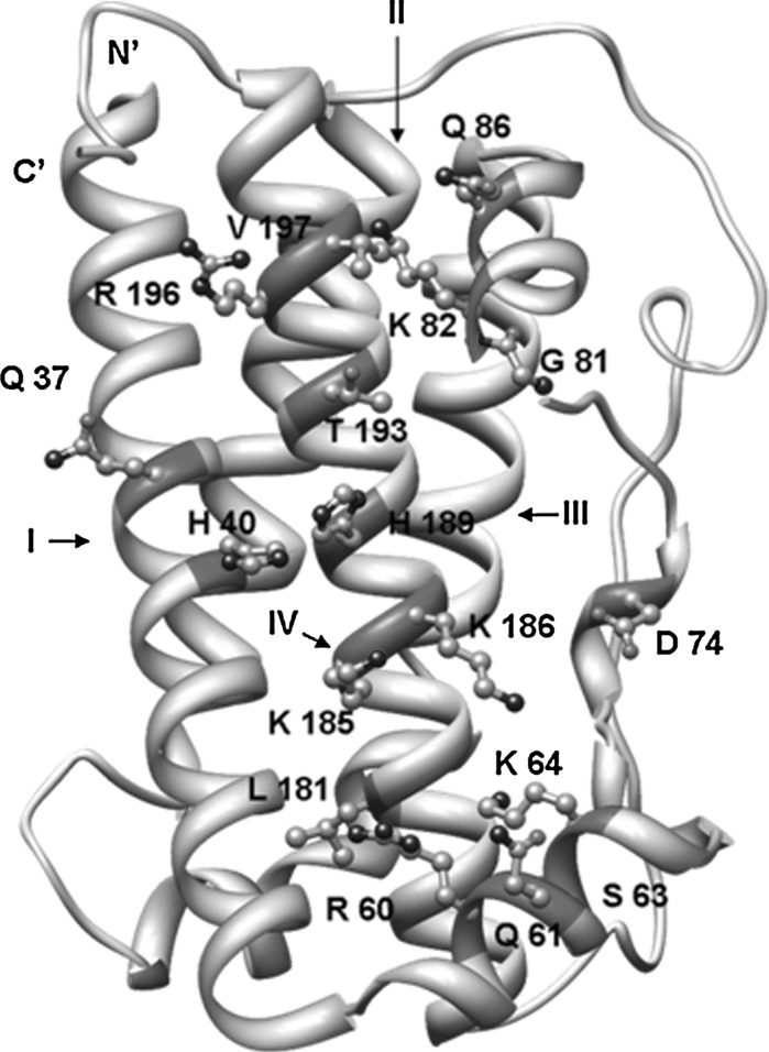 Fig. 6