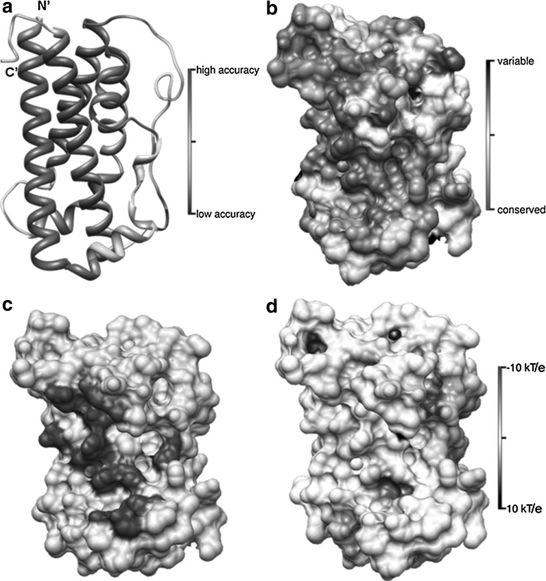 Fig. 5