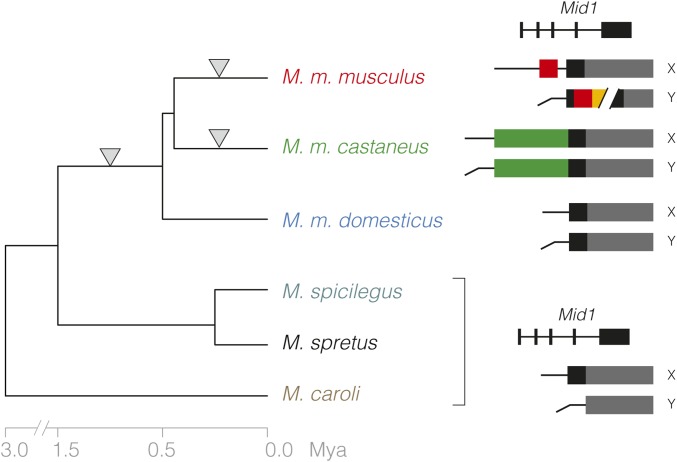 Figure 10