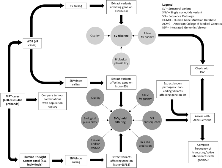 Figure 1