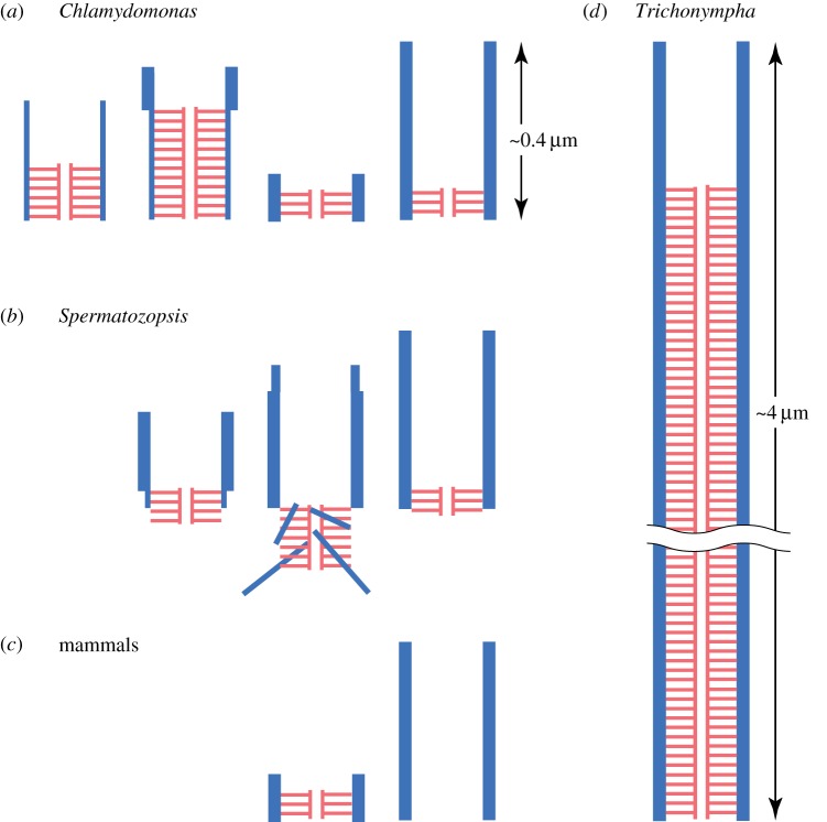 Figure 2.