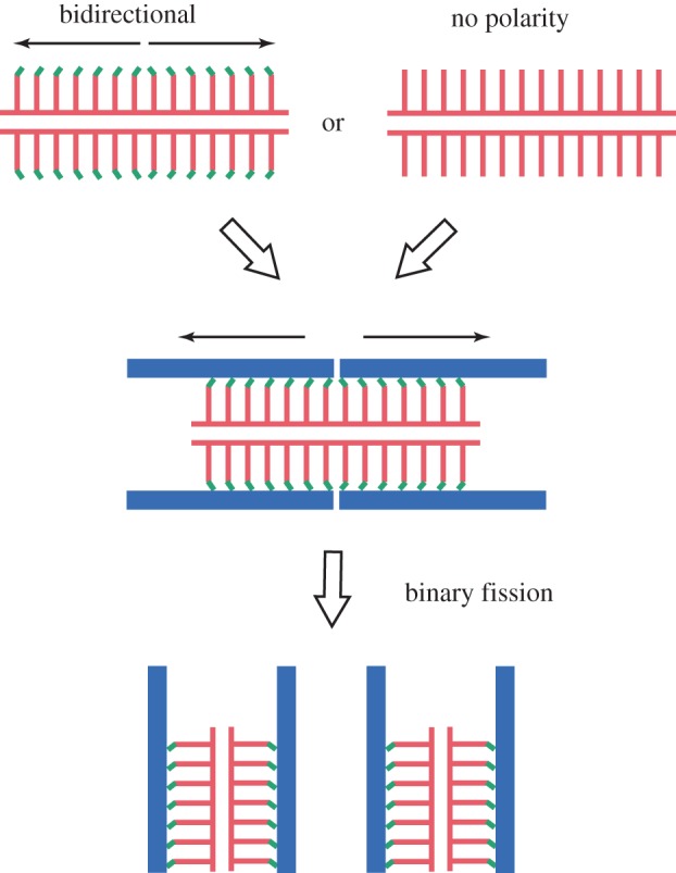 Figure 4.