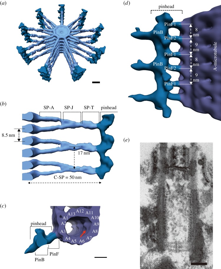 Figure 3.