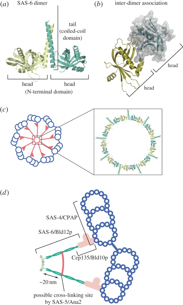 Figure 6.