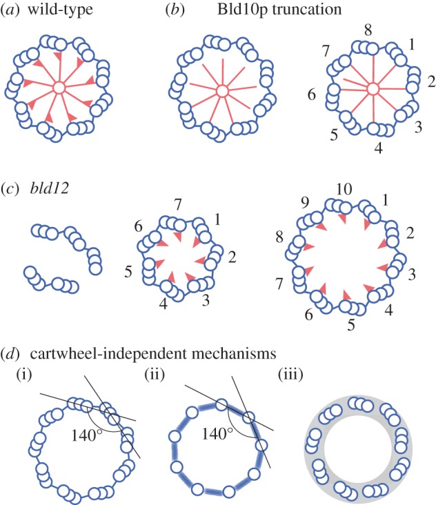 Figure 5.